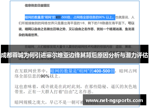 成都蓉城为何引进塞尔维亚边锋其背后原因分析与潜力评估
