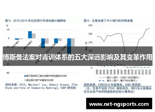 博斯曼法案对青训体系的五大深远影响及其变革作用